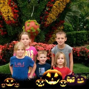 Meet your Posher, Corey